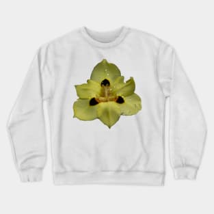 Yellow Pansy Crewneck Sweatshirt